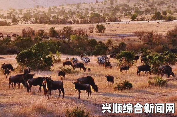 埃塞俄比亚土狼饲养员，与自然和平共处