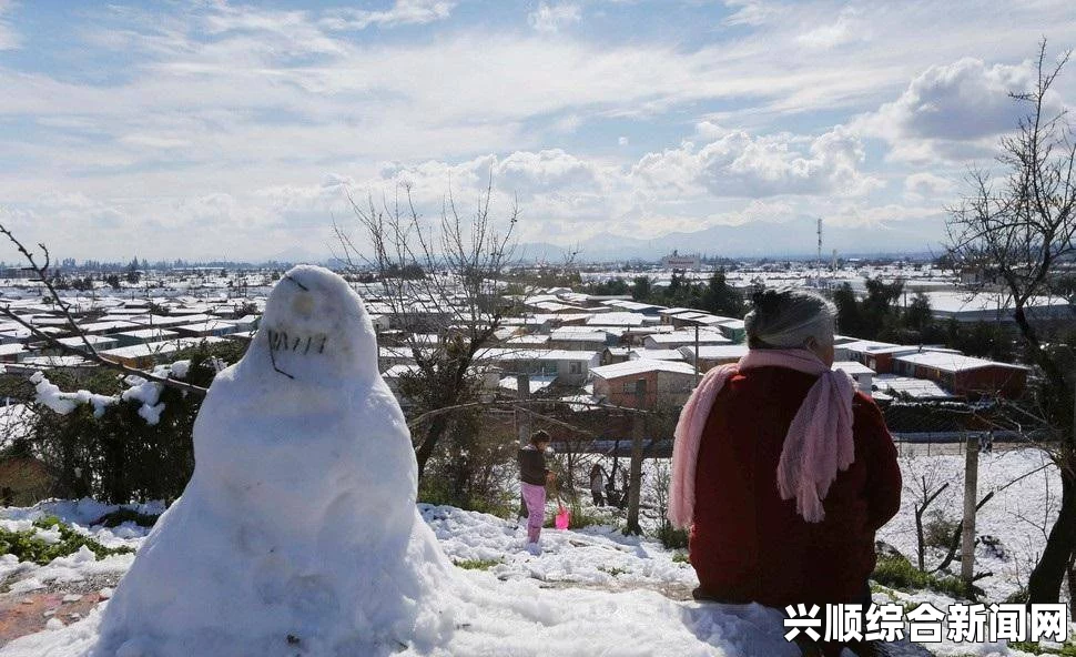 近日，智利首都圣地亚哥经历了一场罕见的暴风雪，成为数十年来遭遇的最大降雪。这场突如其来的大雪让整个城市披上了一层银装，给居民带来了不小的惊喜和挑战。