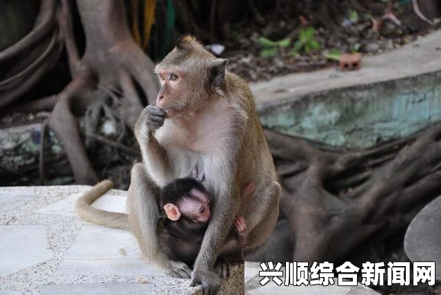 泰国旅游业战略转型，从追求游客数量到提升消费体验