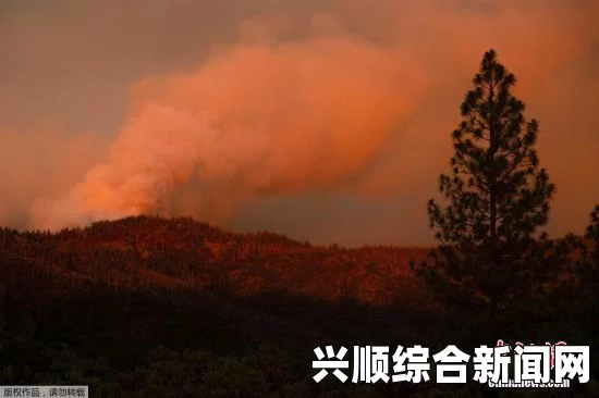 加州中部持续高温，当地旅游胜地遭受林火袭击