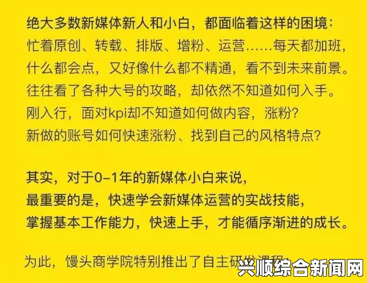 国产精品嫩草久久久久麻花传媒一二三区产品特点分析：了解各产品的独特优势与市场定位