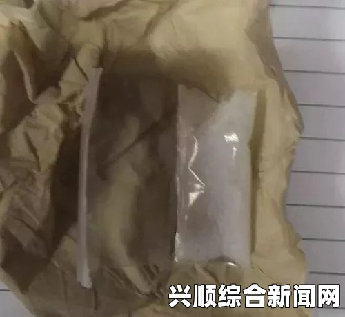 毒贩利用鸡嗉子藏毒，警察巧妙应对揭露真相