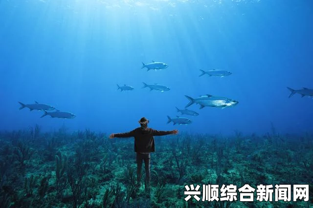 欧洲之星带你穿越虚拟海底世界