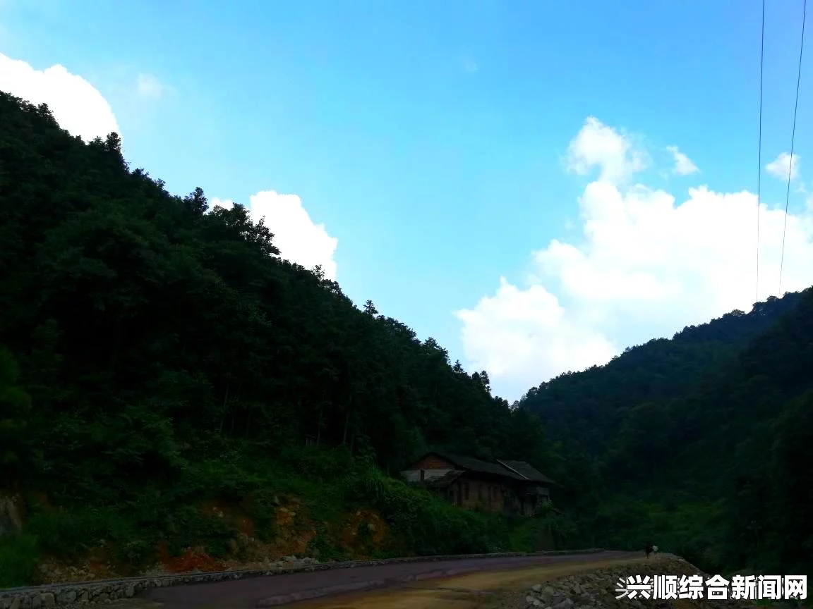 九州暴雨致多人死亡，日本政府全力搜救失踪者