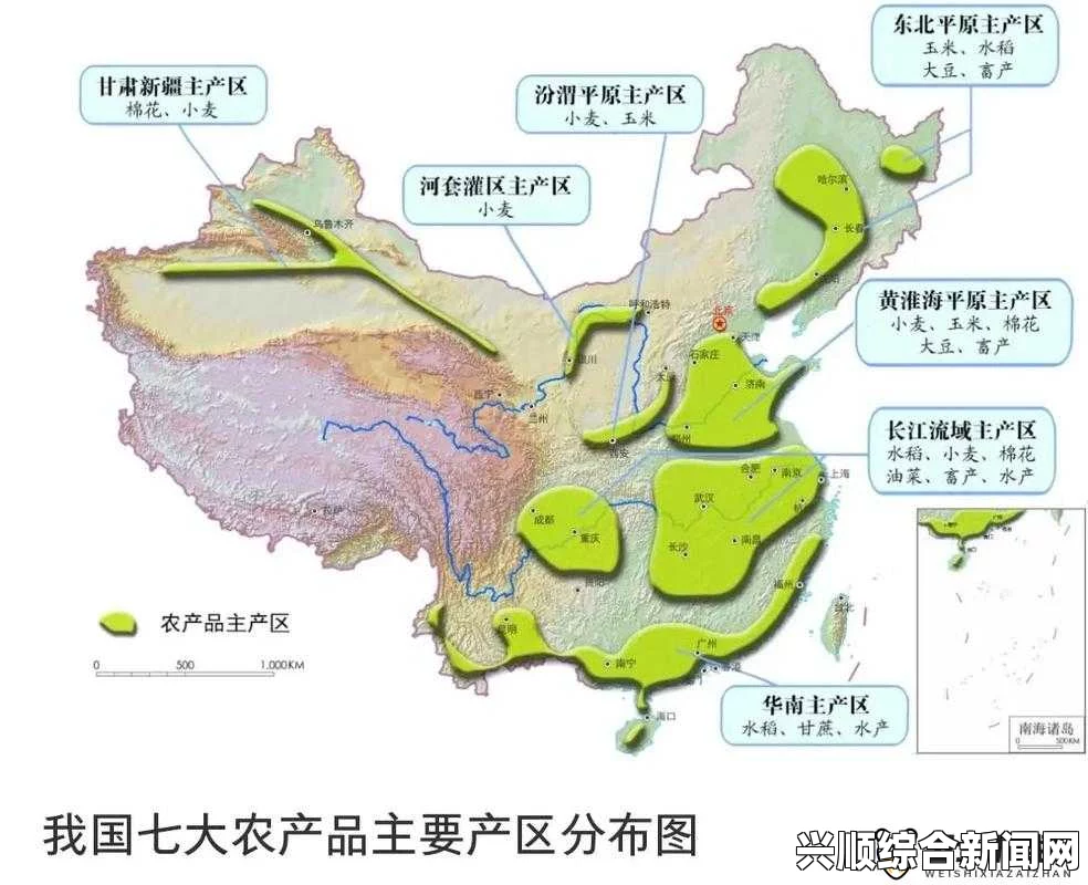 一家乱战精确掌握一二三产区划分标准，确保农业生产优化与产业升级