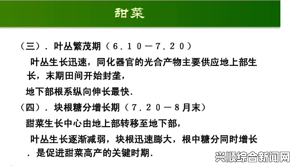 yellow在线观看18岁青少年如何应对成长中的压力，提升自我管理能力，迈向更好的未来