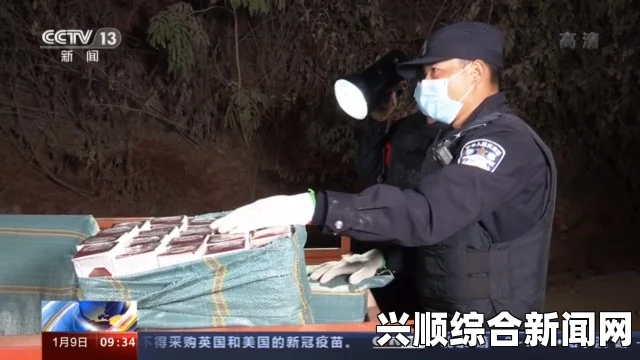 韩国理论大全老旺与秦雨的野外战斗：一场生死较量与智慧比拼的精彩对决