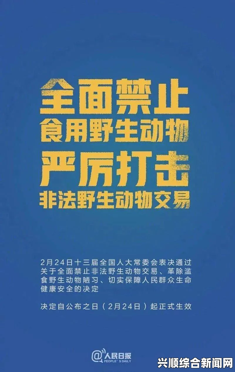 好东西免费播放电影在线观看禁漫天堂的法律与社会风险：如何识别和应对这一网络平台的争议？