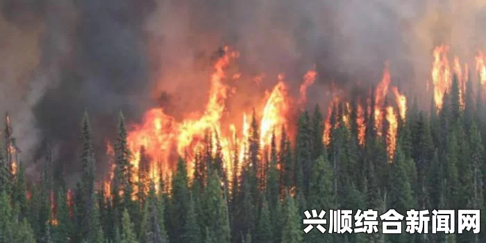 加拿大西部再次进入山火紧急状态，这是自XXXX年以来时隔XX年的重大事件。本文将探讨这一现象的成因、影响和应对措施，并在结尾解答环节中解决前三个问题。