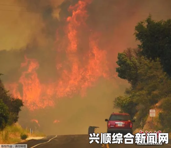 美国加州遭遇极端高温，山火乘热浪迅速蔓延——挑战与解答