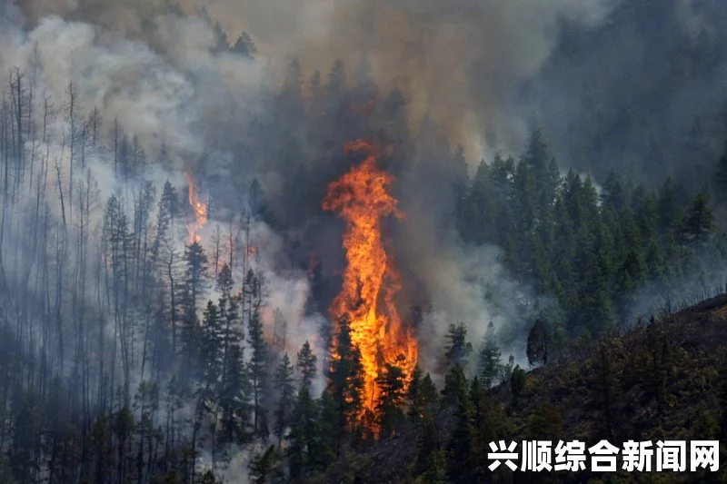 近日，加拿大西部遭受极端天气的影响，发生了多起大规模山火。据最新报道，这些山火已经威胁到当地居民的安全，导致约3000名居民被迫紧急疏散。本文将介绍此次事件的背景、过程和影响，并在结尾解答三个问题。