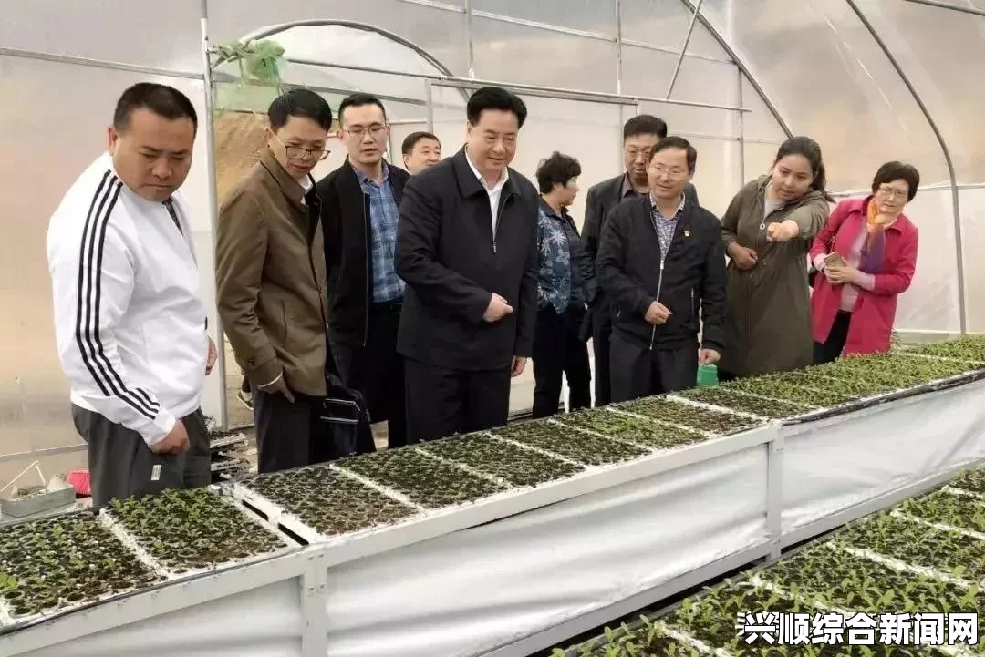 好姑娘高清在线看国语蚂蚁新村今日答案解析，快速掌握今日蚂蚁新村答题技巧与知识