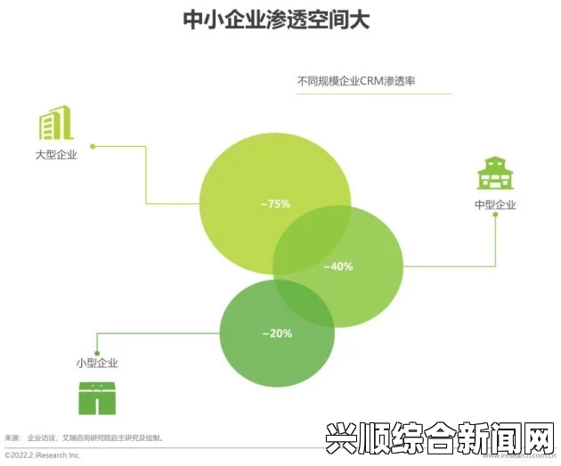 窝窝视频网成品视频CRM系统如何帮助企业提高营销效率与客户体验：全面解读其功能与优势