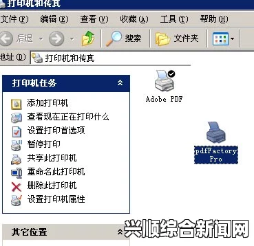 9.8分成人动画打印机接收不到打印指令怎么办