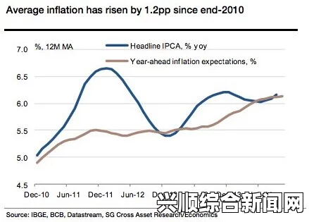 调查报告，巴西今年经济将增长0.39% 通胀率3.46%