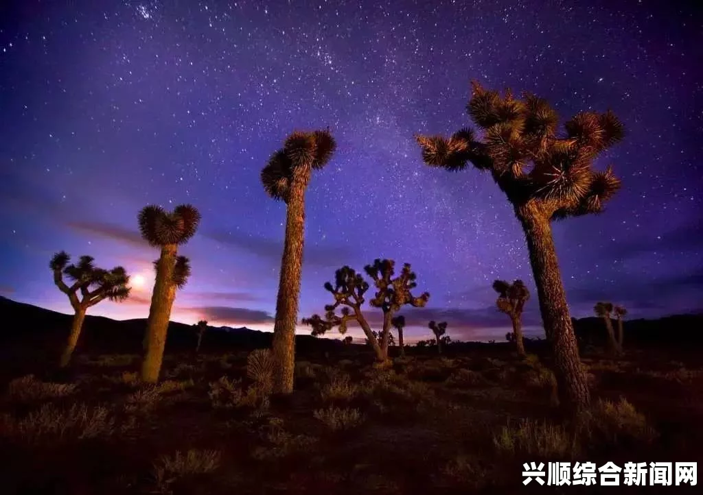 yellow在线观看空中女士美国满天星空中景观，带你领略震撼夜空的美丽