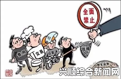 一家乱战禁漫的背后：为何这些漫画遭到审查与禁止？从法律到社会文化探讨禁漫现象