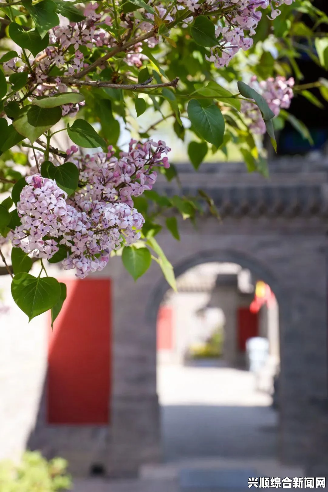 好东西免费播放电影在线观看丁香花一二三四声的发音规则是什么？如何区分这些声调？