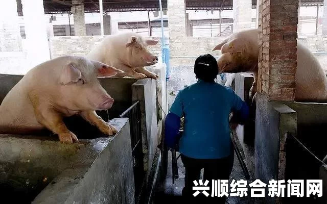 人or猪or狗魅影：解读魅影在文化艺术中的深层含义与心理象征