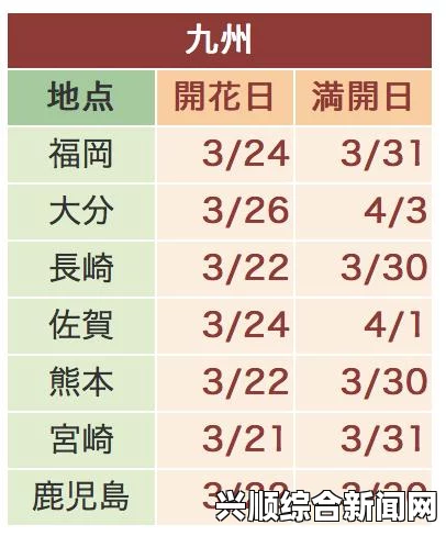 樱花动漫在线观看免费完整版影视欧美尺码与日本尺码差异解析：如何在美国购买日本商品避免尺码问题