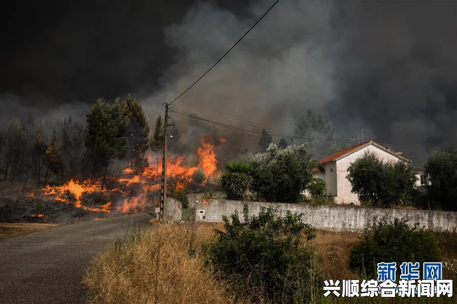 葡萄牙中部森林火灾，官员否认有飞机坠毁，解答相关问题