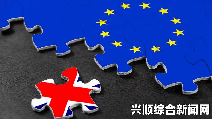 英国脱欧谈判深度解析，欧盟代表的坚定立场与未来展望展望