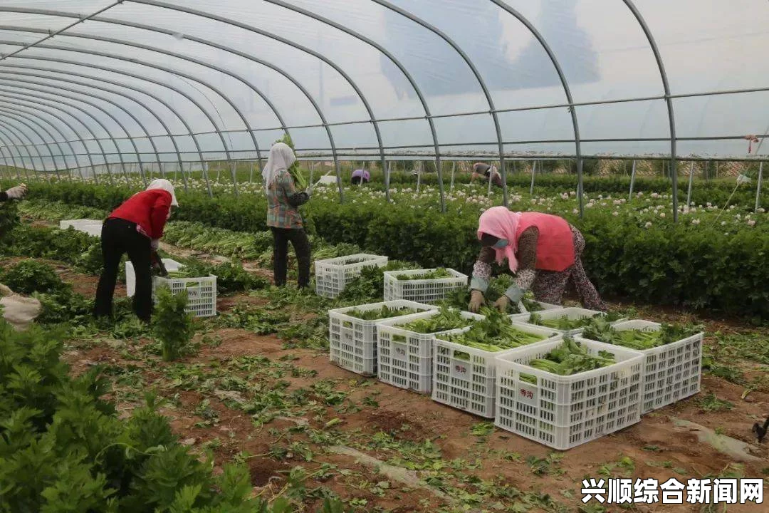 聂小雨一战三的视频在哪里看如何通过视频展示真实双人插画的创作过程：探索插画艺术的合作与技巧