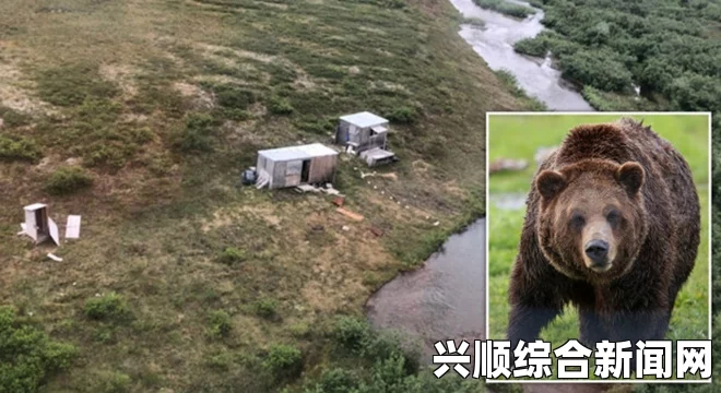 阿拉斯加少年山地赛跑遭遇熊袭击，不幸离世