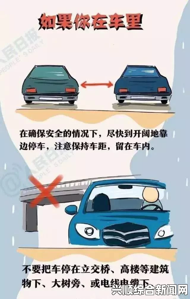 窝窝视频网野外车里地震视频：地震发生时车内的应急反应与心理变化分析