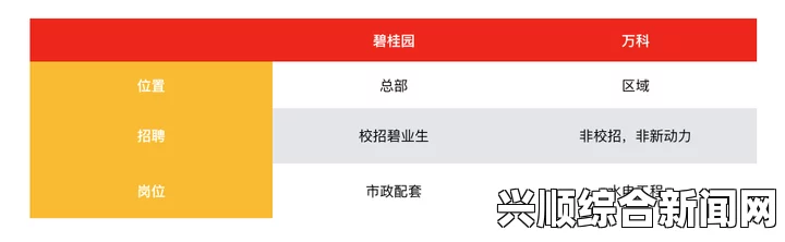 红楼艳谭麻花豆传媒一二三区的区别：各业务区的核心特色和发展方向