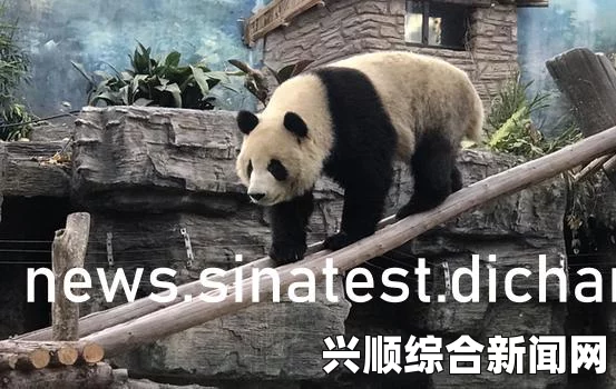 军装下的丰满肉体如何在辣妹子影院在线观看电视剧高清：全方位解析与用户体验分享