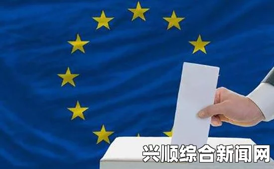 法议会选举第二轮投票临近，选民弃投率刷新纪录背后的原因解析