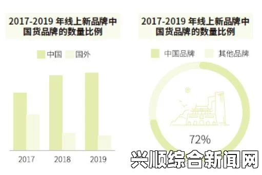 年轻的保姆国产精品市场的崛起与成功：揭秘国产品牌质量提升与创新发展的背后