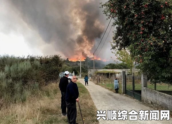 葡萄牙森林大火致62死数十人伤，全国陷入紧急状态