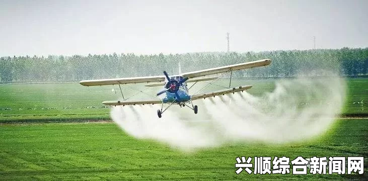 日本大学研发水空两用无人机，深潜飞行两不误