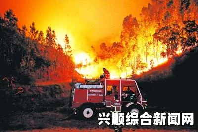 葡萄牙中部森林火灾已致39人死亡，火势仍未得到完全控制