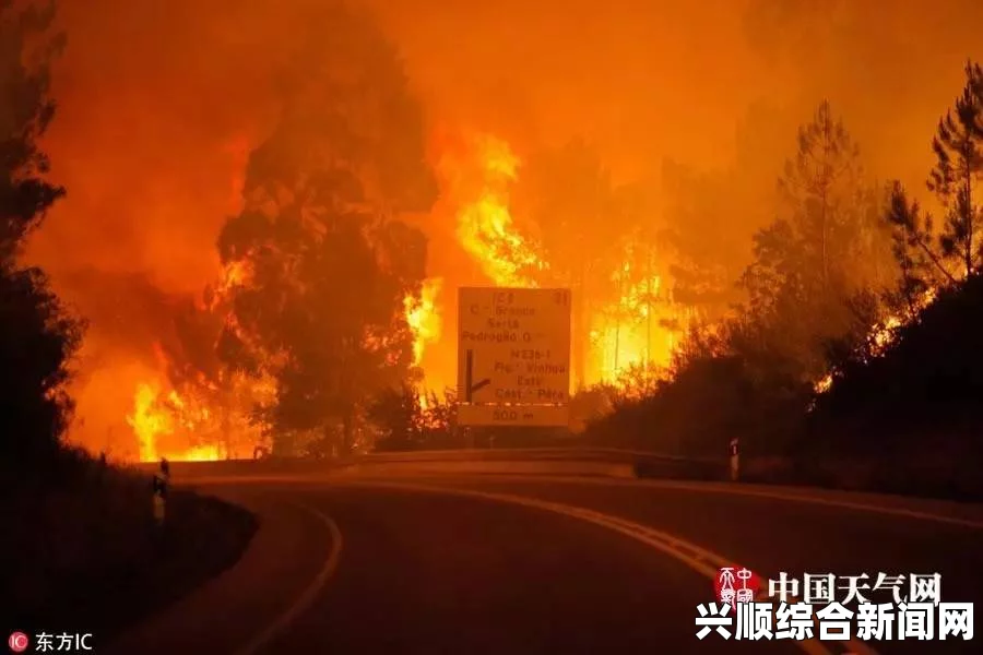 葡萄牙中部森林火灾已致39人死亡，火势仍未得到完全控制