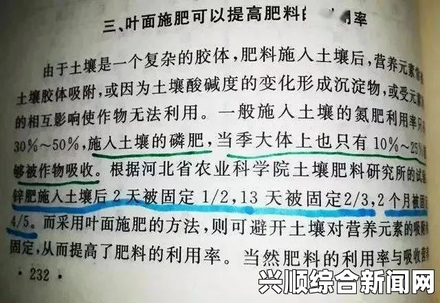 人伦人与牲囗恔配视频特殊的补课方式1：究竟是如何独特且高效地重写一个中文汉字的长标题？