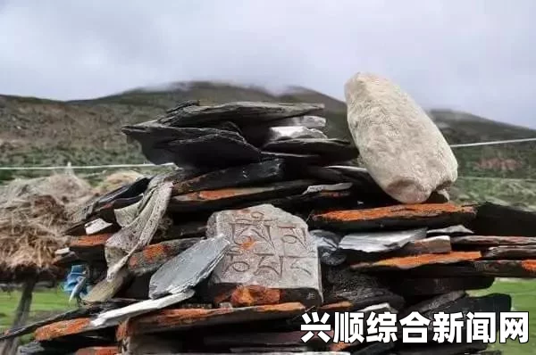 在一个偏远的小山村里，发生了一起令人震惊的悲剧。一名男子在户外活动时遭遇毒蛇袭击，命悬一线之际，他紧紧咬住妻子的手臂，声称想和她一起死。这个故事充满了悲痛与不解，让我们深入探究这一事件，寻求答案。