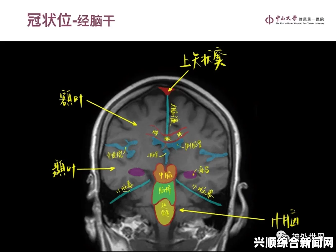 出轨的女人欧美国产精品一二三产品怎么买？通过哪些途径购买最划算？