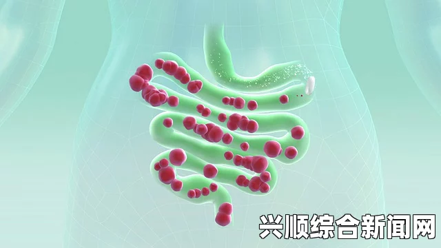 内地级A艳片高清免费播放深入了解最原始的肠道微生物：静静大肠的奥秘与健康益处