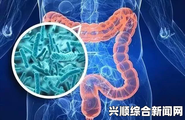 内地级A艳片高清免费播放深入了解最原始的肠道微生物：静静大肠的奥秘与健康益处