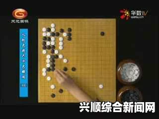 2016世纪围棋人机大战，揭秘第二局背后的故事与精彩对决