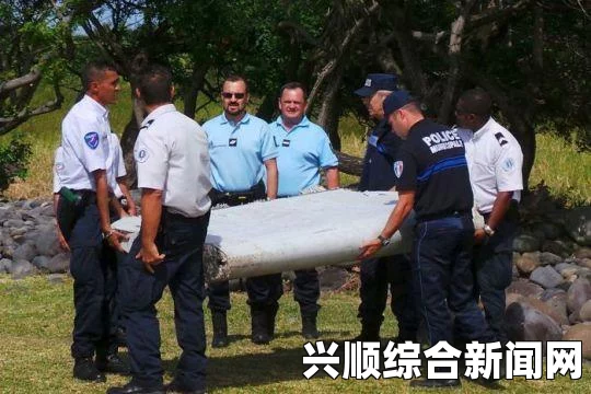 法属留尼汪岛海岸再现疑似MH370飞机碎片