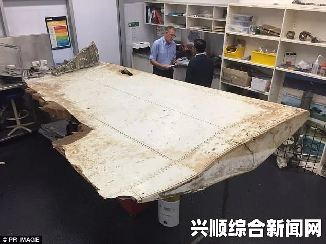 法属留尼汪岛同一海岸再现疑似MH370碎片