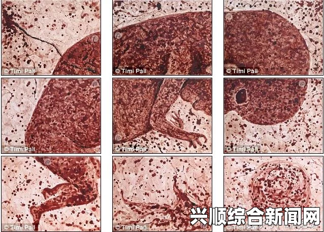 近日，一位来自美国的21岁艺术生以一种独特的方式引起了公众的广泛关注。她用自身的经血作画，并将这些作品发布在网上。然而，这一行为却引发了一场争议，许多人对此表示强烈抨击。