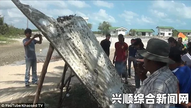 泰国南部海滩发现疑似MH370残骸，现场图片揭秘（组图报道）