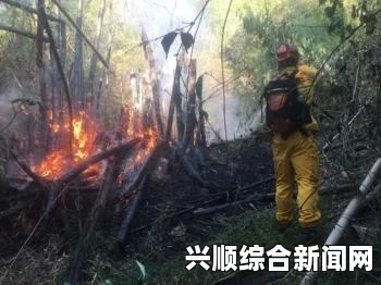 澳大利亚西南林火猛烈延烧现场图片，2人死逾百建筑被毁