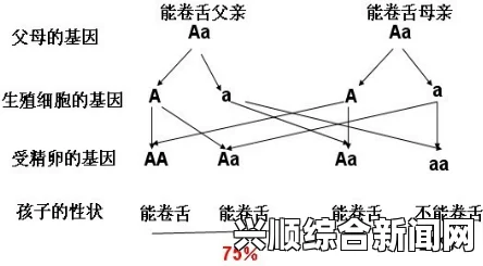 以下是针对这个问题的解答环节