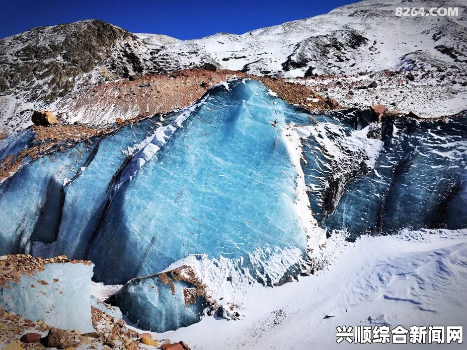 阿雷巴洛错颁后冠的意外走红，一场引发关注的荣誉风波